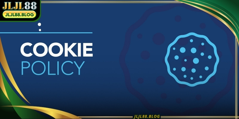 Cookie policy provides the necessary data to build a more engaging platform